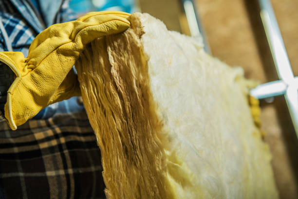 Best Insulation Repair Services  in Green Village, NJ